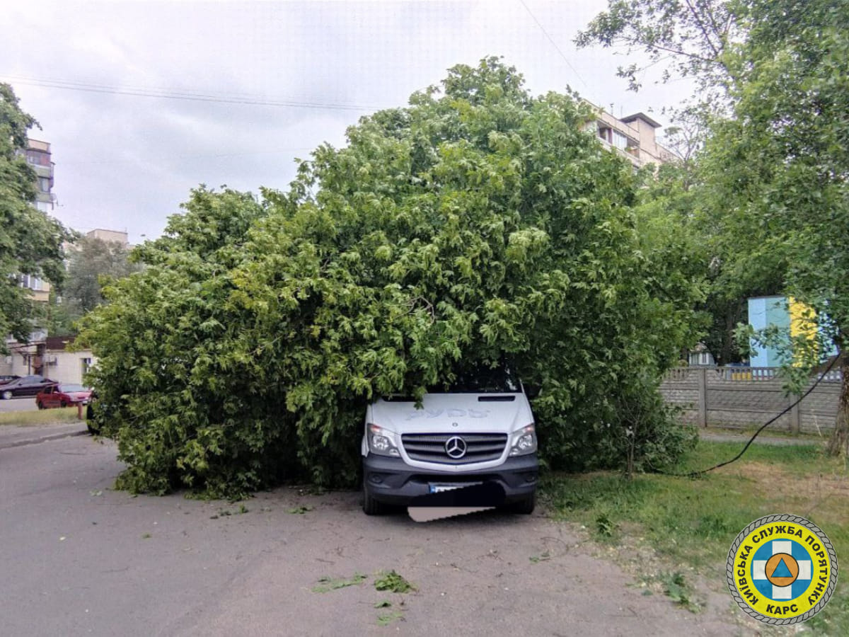 Повалені дерева та пошкоджені автівки: у Києві рятувальники ліквідовують наслідки грози (фото)
