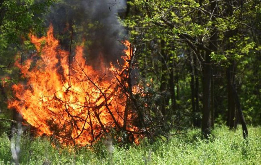 На Київщині попередили про пожежну небезпеку протягом найближчих двох днів