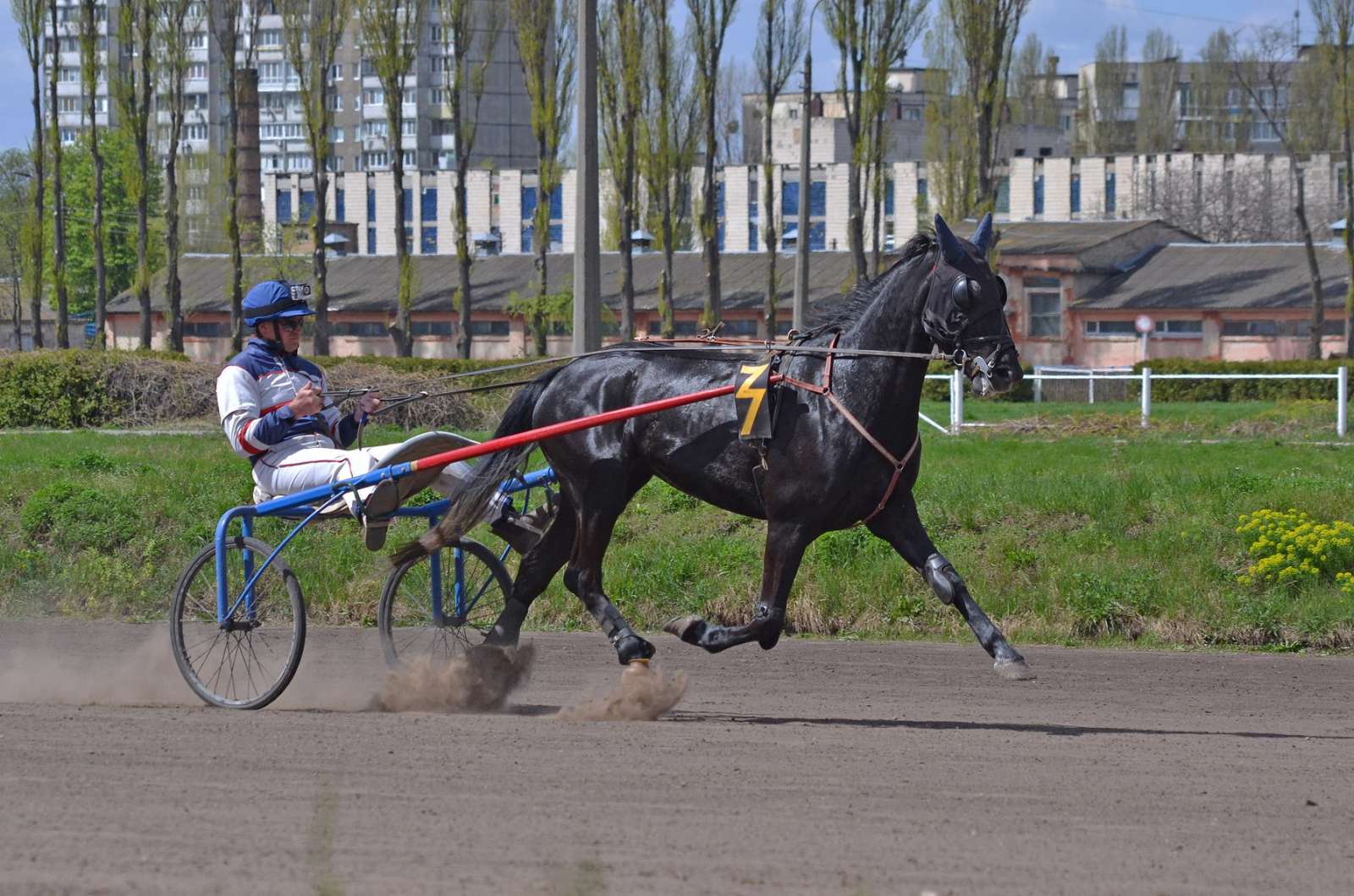 На Київському іподромі сьогодні проходять випробування для 40 коней рисистих порід