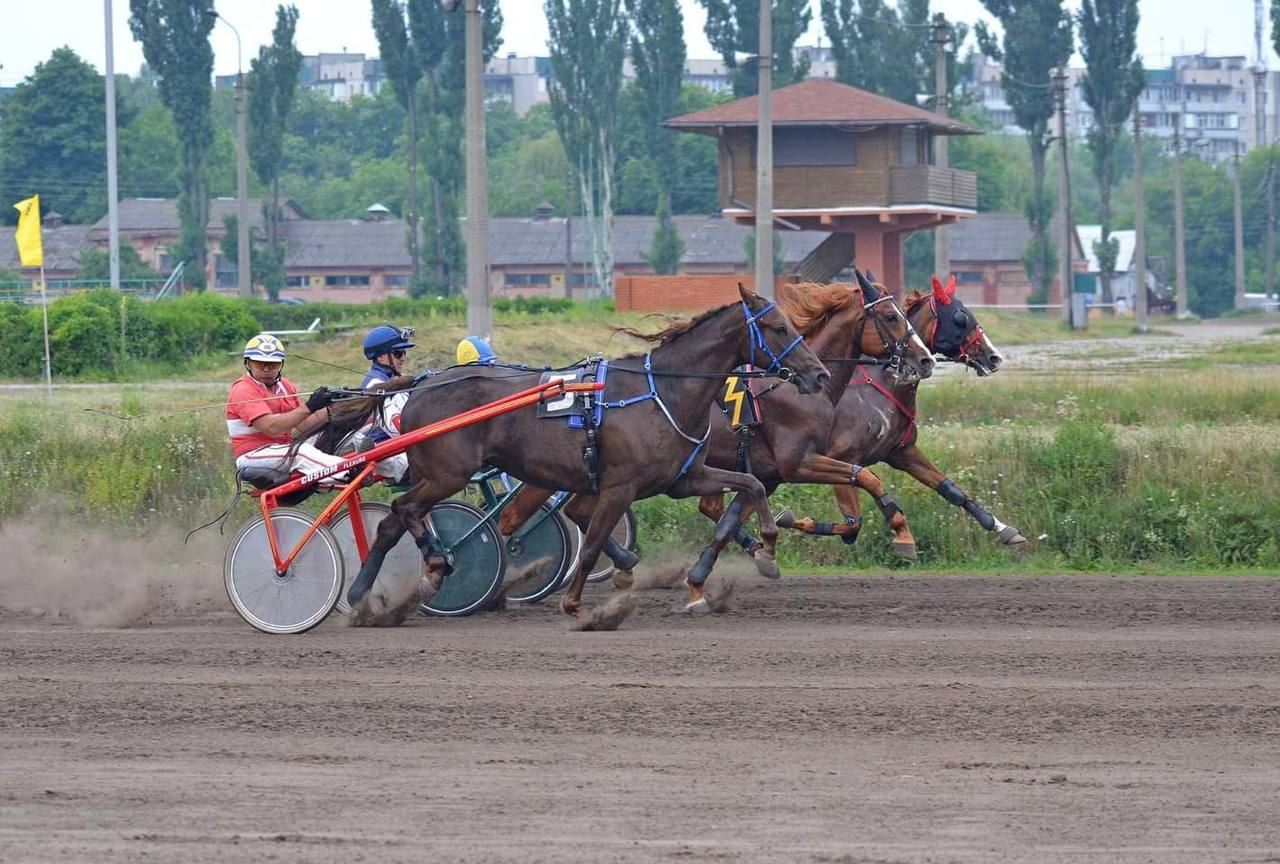 У неділю, 9 липня, на Київському іподромі проводяться випробування коней рисистих порід