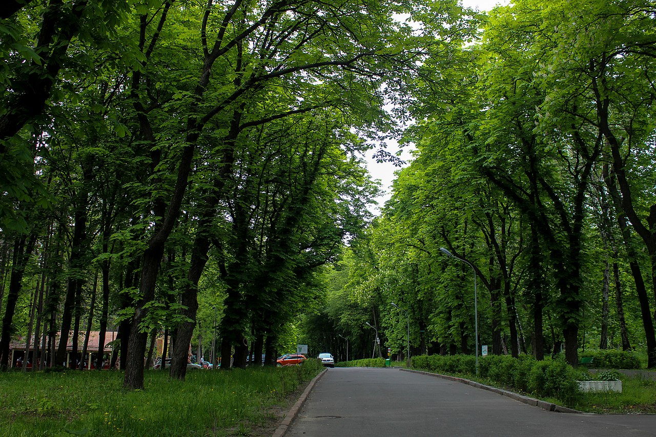 Київрада перейменувала парк імені Пушкіна на честь українського письменника