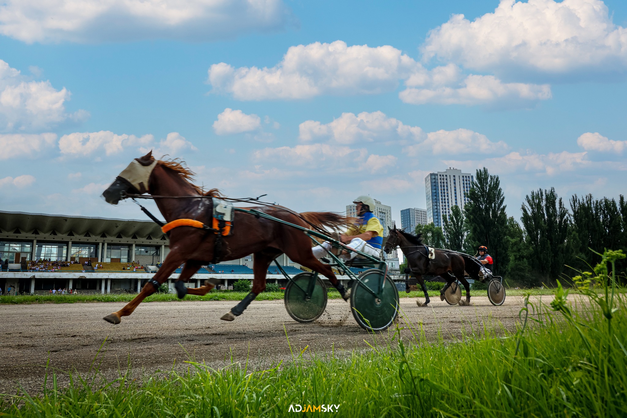 У неділю, 23 липня, на Київському іподромі пройдуть змагання коней рисистих порід