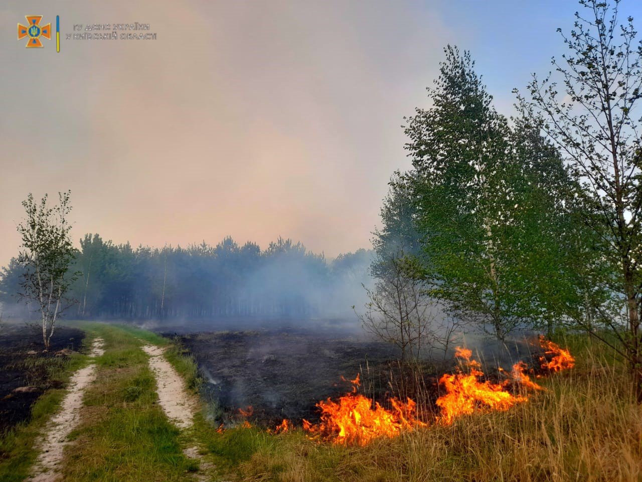 У Києві та області майже до вересня буде утримуватись надзвичайний рівень пожежної небезпеки