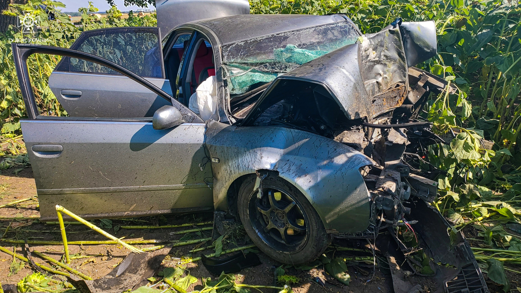 На Білоцерківщині внаслідок зіткнення автомобіля з деревом загинули дві людини