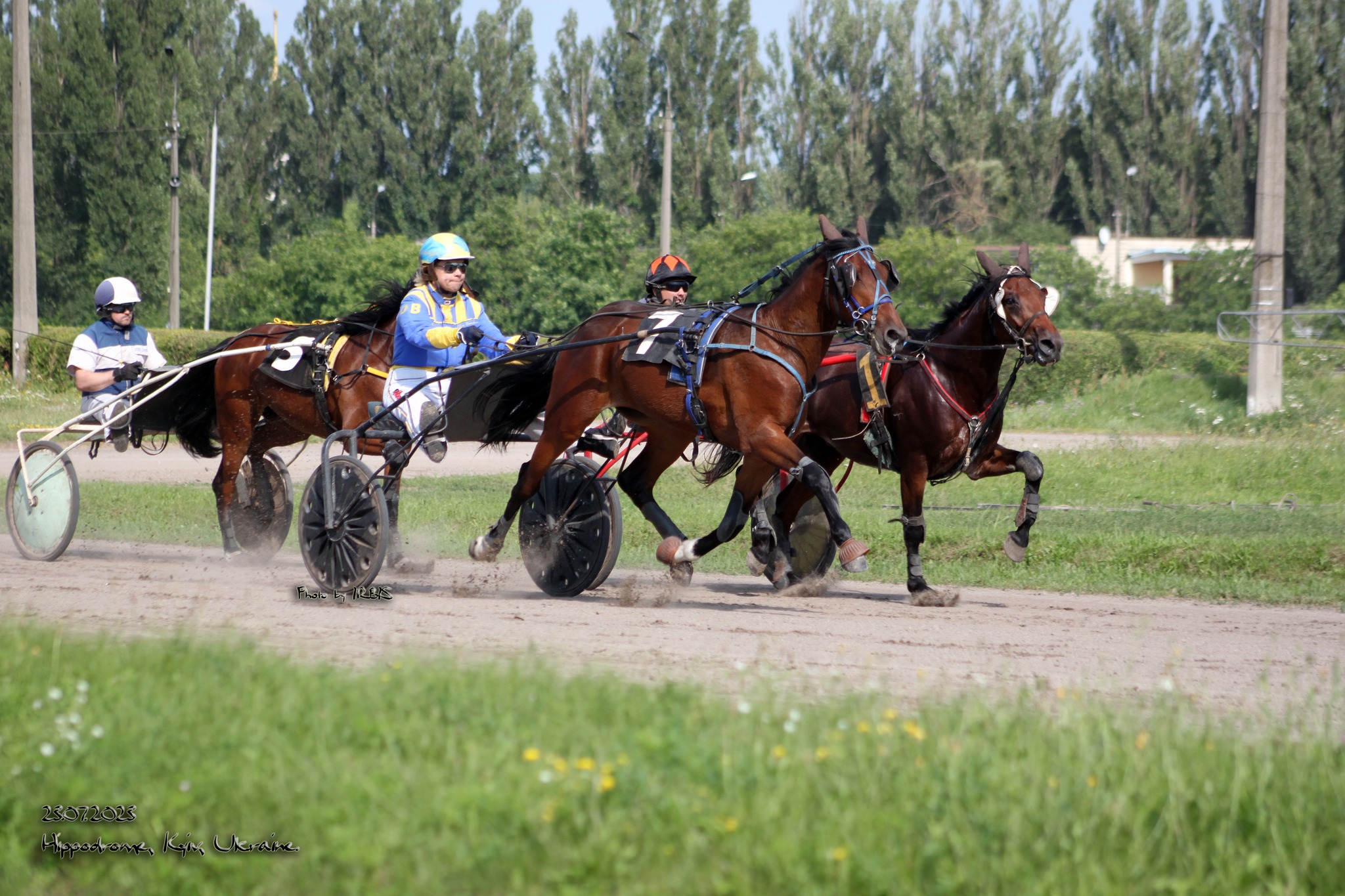 На Київському іподромі сьогодні проходять випробування для 44 коней рисистих порід
