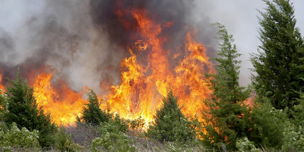 Мешканців Київщини попереджають про надзвичайний рівень пожежної небезпеки, – Укргідрометцентр