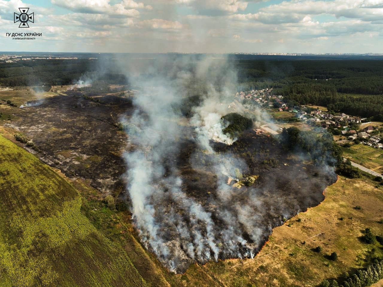 В Ірпінській громаді ліквідували пожежу на полі в 5 га, ліквідація горіння торфу на площі 8 га триває (фото, відео)