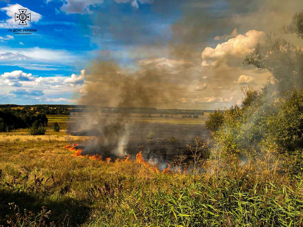 На Київщині надзвичайний рівень пожежної небезпеки утримається до 10 вересня