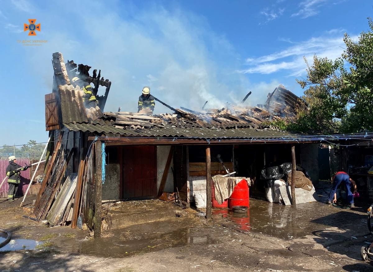 При пожежі на фермі у Бориспільському районі врятували понад два десятки свійських тварин
