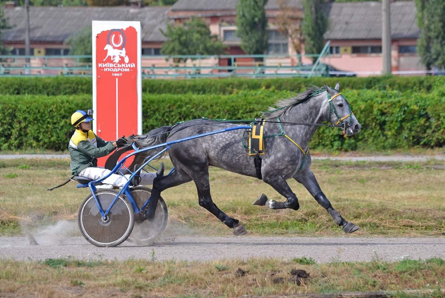 На Київському іподромі у неділю, 3 вересня, пройдуть змагання 42 коней рисистих порід