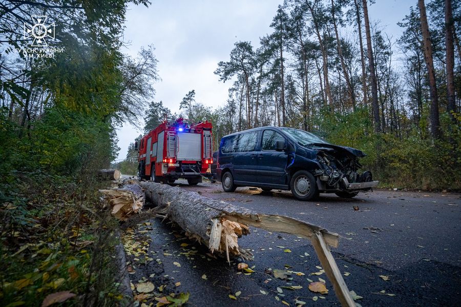 У столиці внаслідок негоди загинуло двоє людей, впало сотні дерев,- КМДА