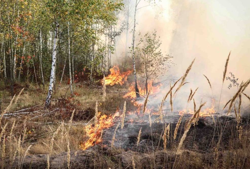 У Києві та області надзвичайний рівень пожежної небезпеки утримається до 7 жовтня