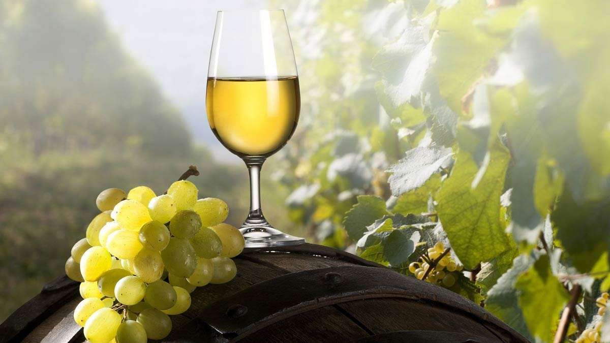 Цими вихідними у столиці пройде фестиваль, присвячений дню винороба України