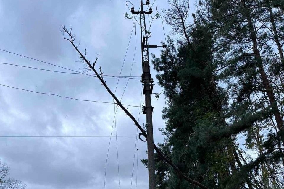 На Київщині негода залишила без світла близько 8 тисяч домівок