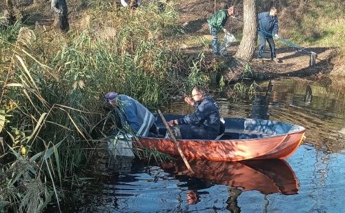 На озері Алмазне у Києві знайшли сотні невідомо від чого загиблих окунів