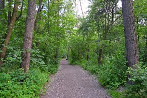 На Бучанщині розірвали договір користування землею парку "Зелена Брама”