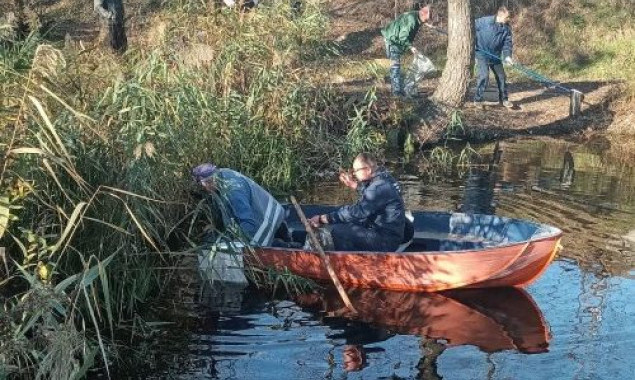 КП “Плесо” просить Держекоінспекцію з’ясувати причини масового мору риби в озері Алмазне