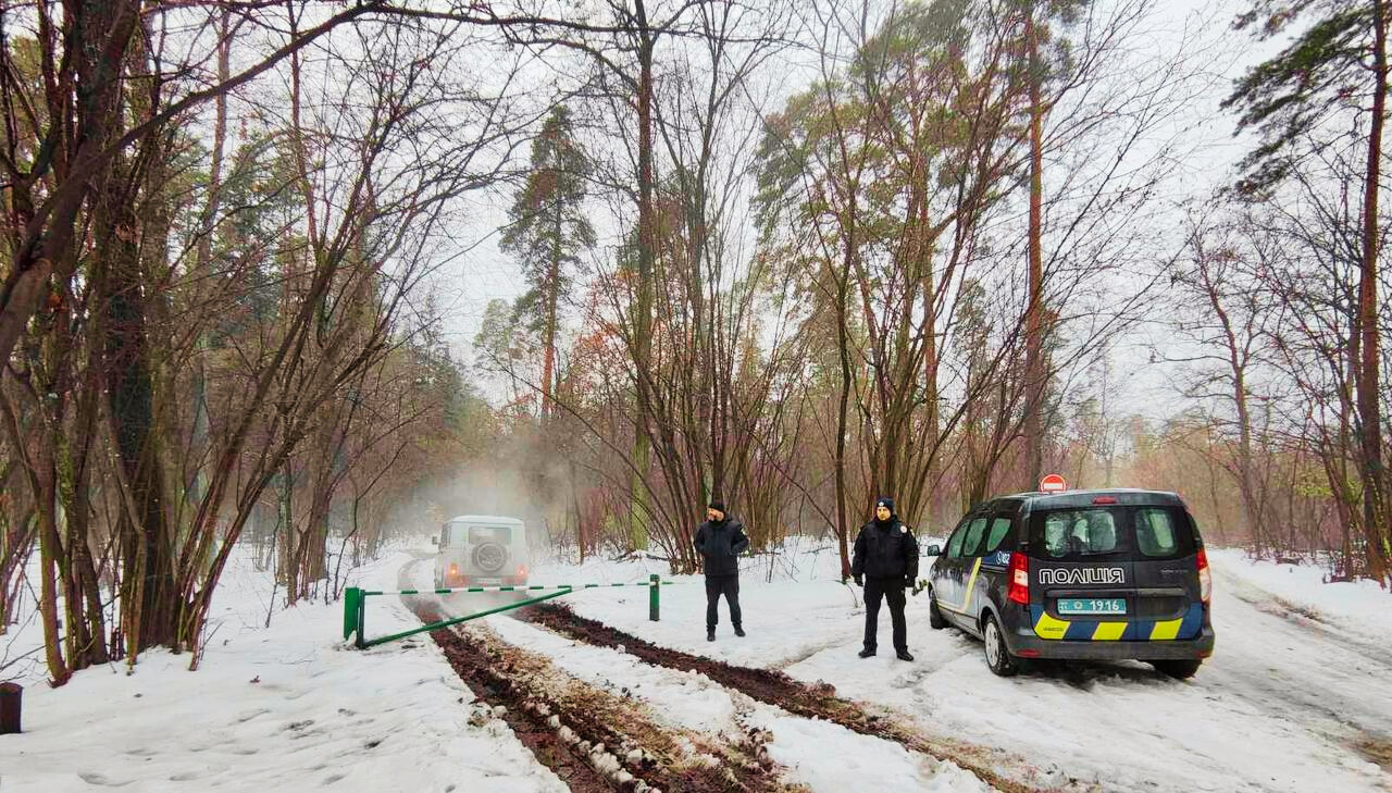 З початку грудня у Києві зафіксовано 4 випадки пошкодження хвойних дерев - “Київзеленбуд”