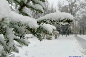 Утримання білоцерківського парку на масиві Леваневського протягом наступного року оцінили у 1 млн гривень