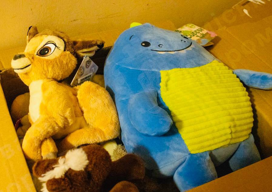 Броварські діти одержали різдвяні подарунки від побратимів громади з Німеччини