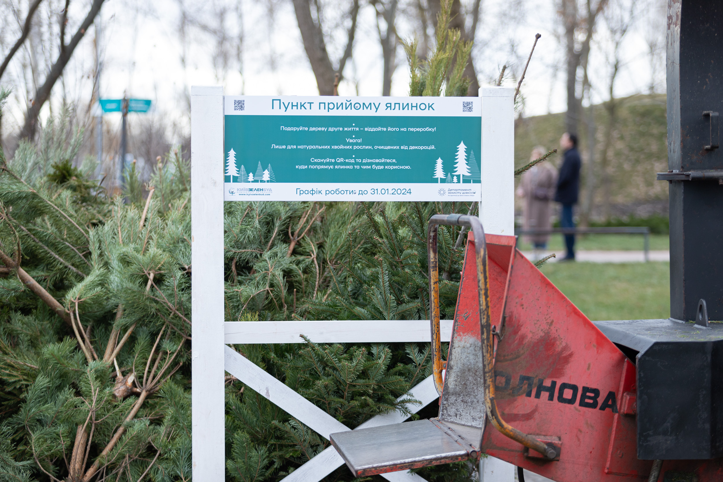 У Києві на екологічну утилізацію здали близько 7 тисяч новорічних дерев (фото)