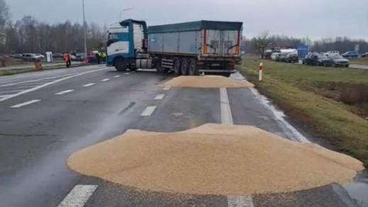 Мінагрополітики засудило дії поляків, що показово розсипали українське збіжжя поблизу кордону