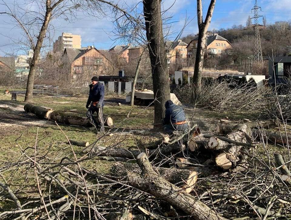 У Ландшафтному парку на Солом’янці вирубали уражені небезпечним шкідником дерева (фото)