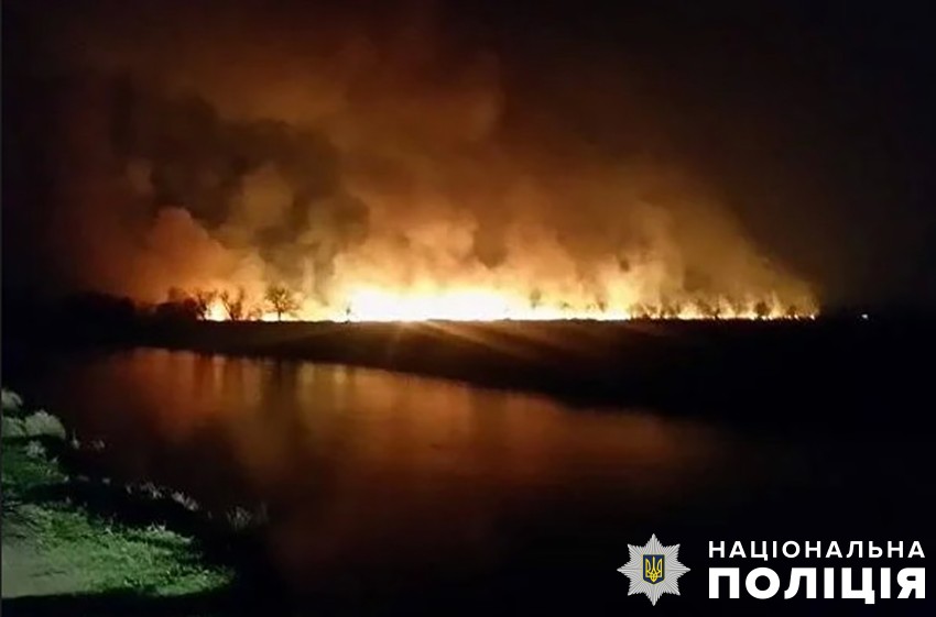 Пожежа в екопарку “Осокорки”: правоохоронці розпочали кримінальне провадження