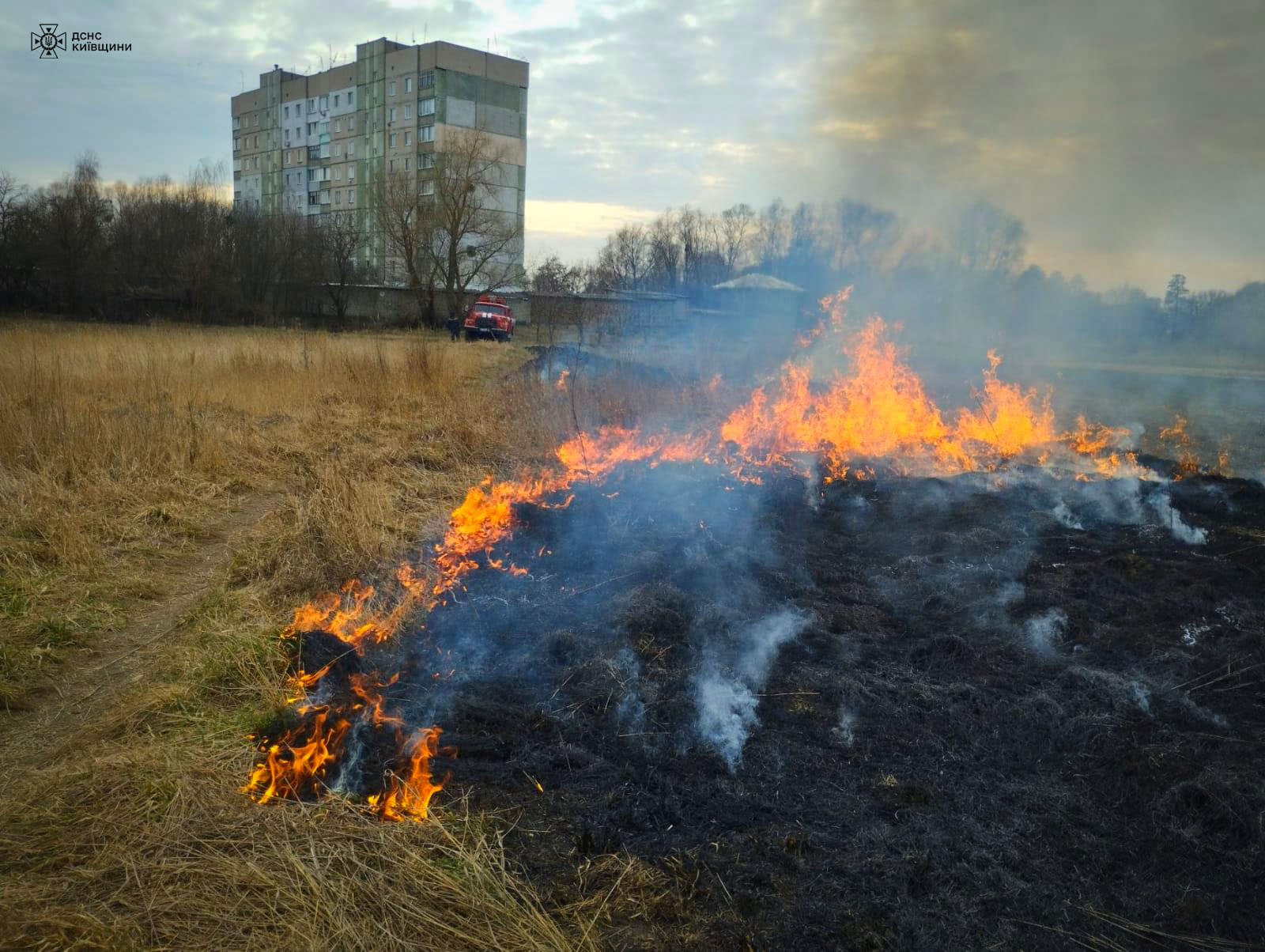Рятувальники б’ють на сполох: на Київщині лише за минулу добу ліквідовано низку пожеж в екосистемах (фото)