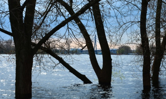 У Києві та області утримується підвищений рівень води