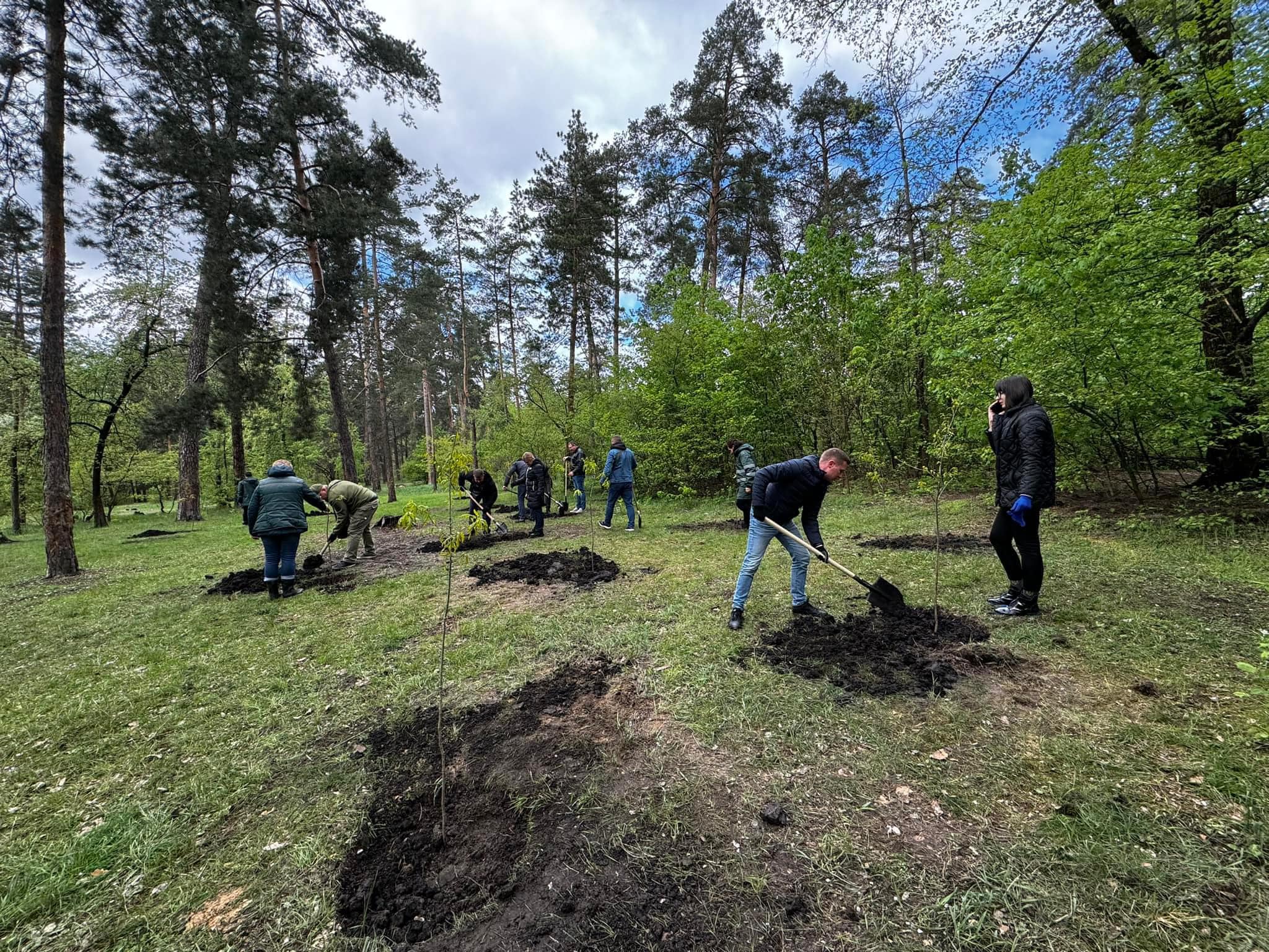 У столичному парку Партизанської слави висадили 50 дубів Шевченка