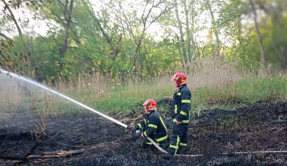 Пожежа біля Совських ставків: у столиці загасили велику пожежу в очереті