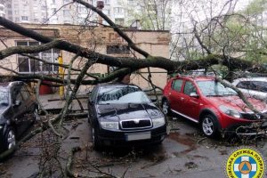 У Києвіі ліквідували наслідки негоди (фото)