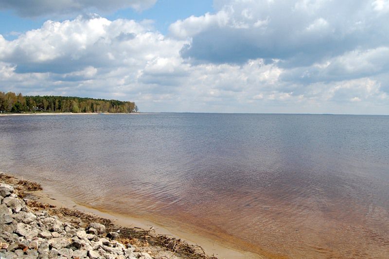 Прокуратура вимагає повернути громаді землі Київського водосховища вартістю 178 млн гривень