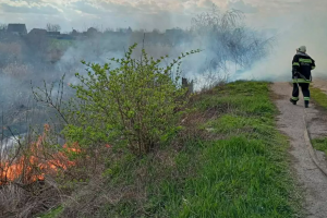 У 2023 році пожежі в екосистемах Київщині коштували держбюджету майже 100 млн гривень