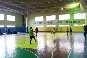 Навчально-спортивну базу ДЮСШ реконструюють, жодних забудов, - мер Вишгорода Момот