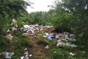 У Вишгородській громаді за 1 млн гривень боротимуться зі стихійними сміттєзвалищами