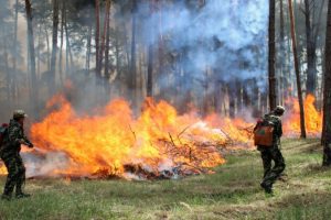 У Києві та області продовжується пожежна небезпека до початку червня 