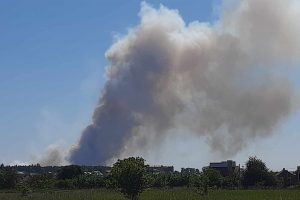 Поблизу Києва виникла масштабна пожежа в лісовому масиві (фото)
