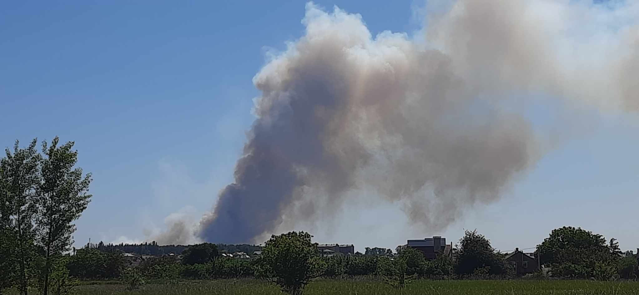 Поблизу Києва виникла масштабна пожежа в лісовому масиві (фото)