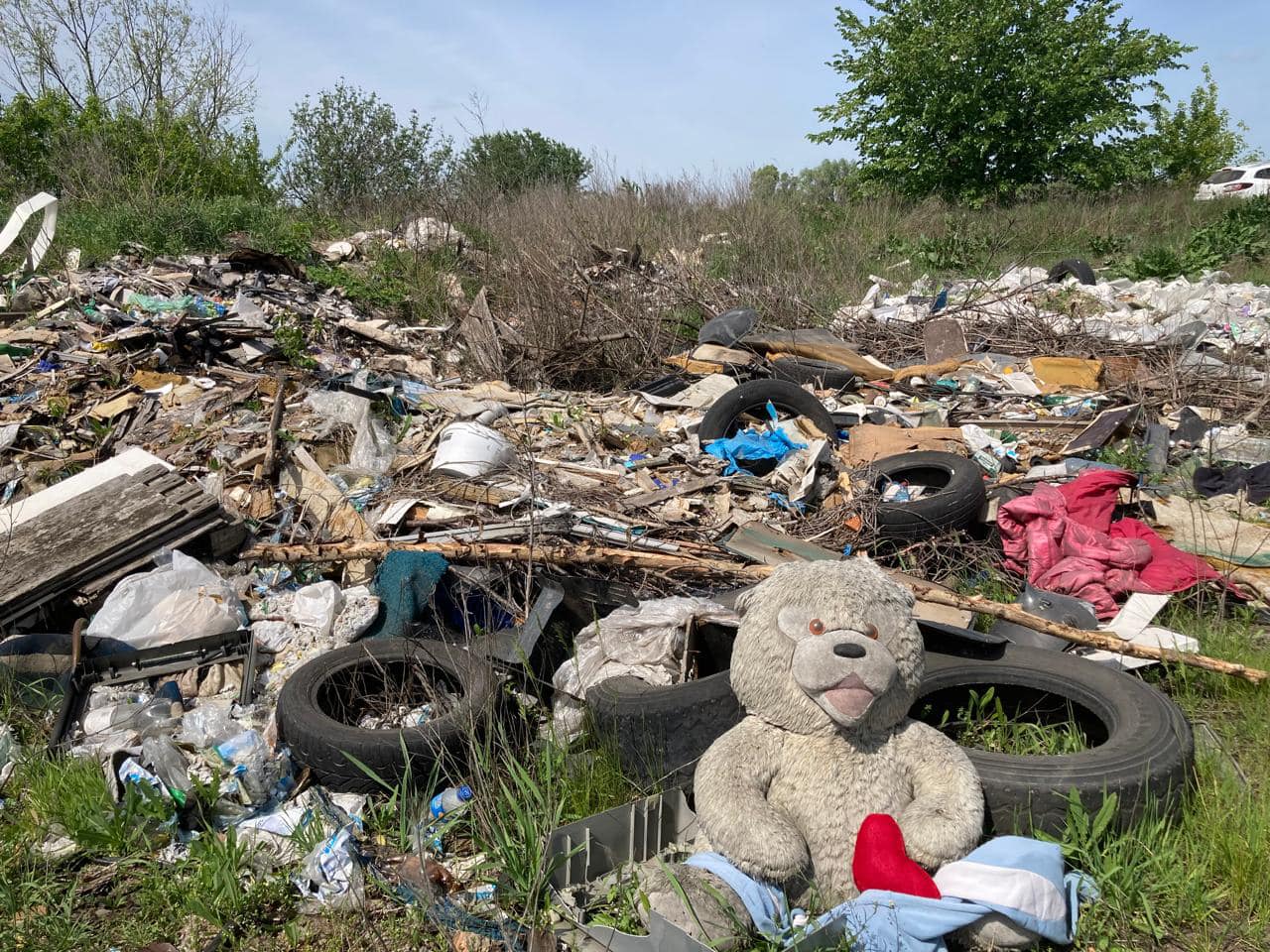 На Лівобережжі Києва виявили 7 стихійних сміттєзвалищ (фото)