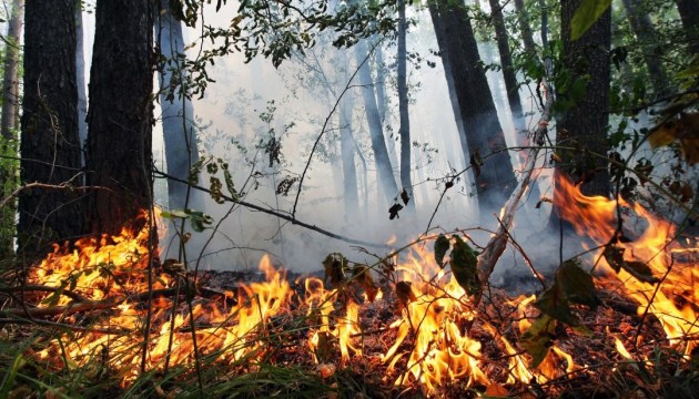 У Києві та області до неділі, 19 травня, - надзвичайний рівень пожежної небезпеки У Києві та області до неділі, 19 травня, - надзвичайний рівень пожежної небезпеки