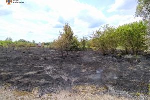 У Києві та області за добу рятувальники ліквідували понад 40 пожеж в екосистемах (фото, відео)