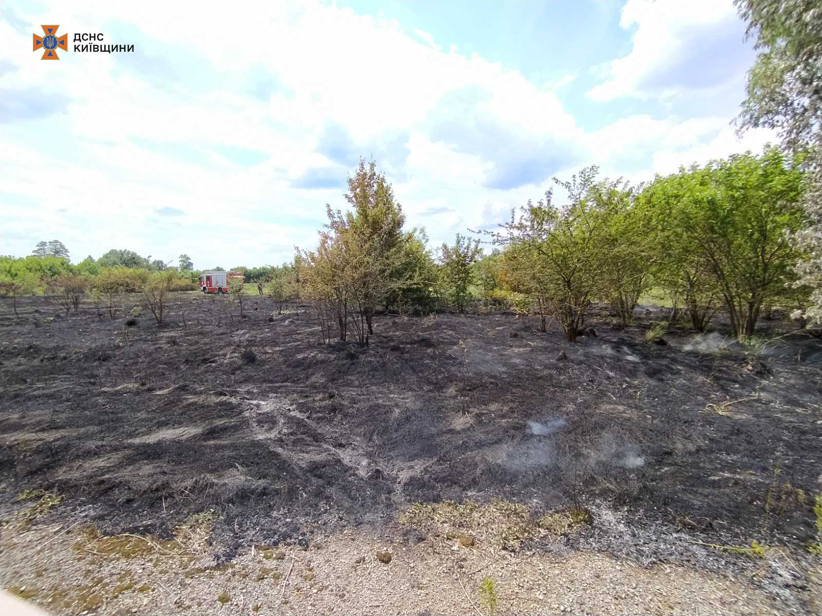 У Києві та області за добу рятувальники ліквідували понад 40 пожеж в екосистемах (фото, відео)