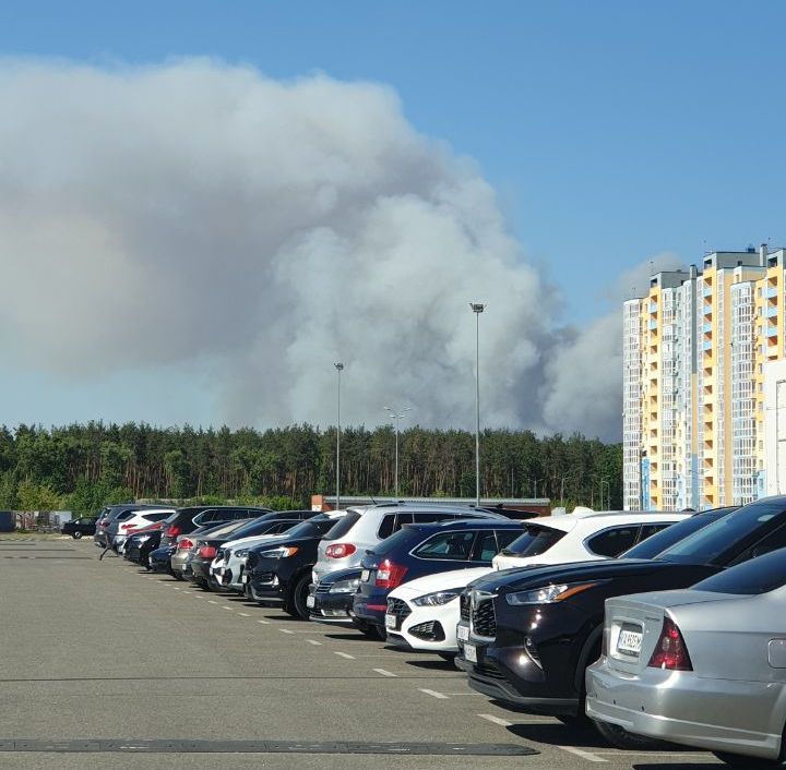 Киян попереджають про можливе погіршення якості повітря через пожежу у Вишгородському районі