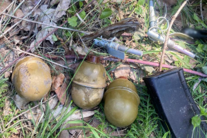 У лісі Голосіївського району киянин знайшов пакет з гранатами