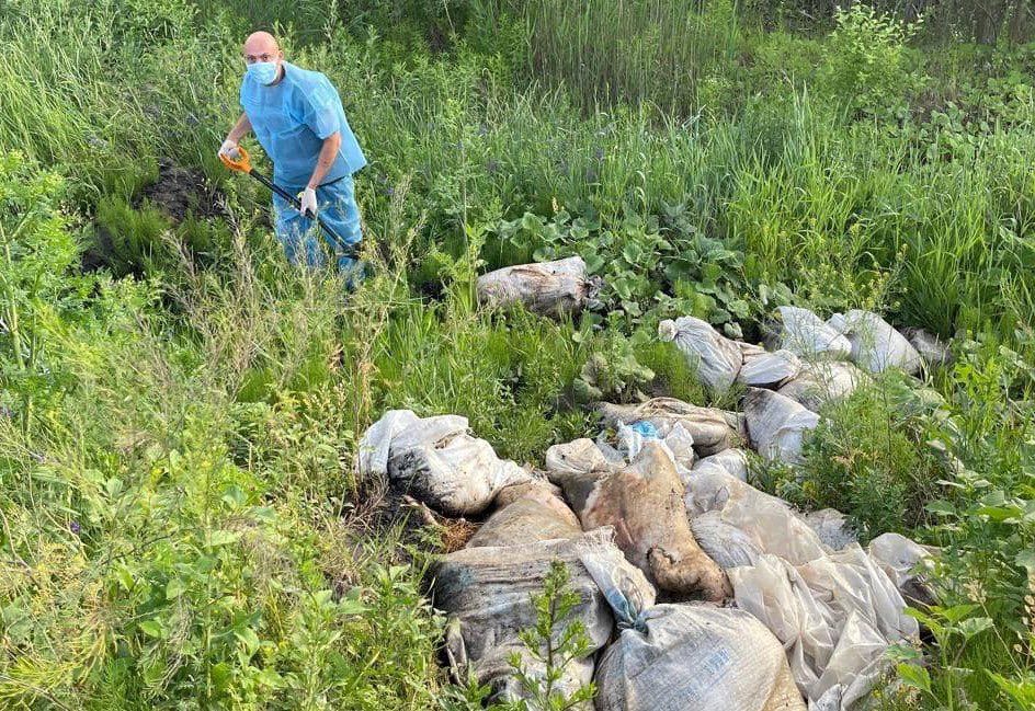 Держекоінспекція виявила несанкціоновані звалища в Бориспільському та Обухівському районах