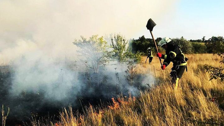 На Київщині протягом трьох днів триватиме надзвичайний рівень пожежної небезпеки 