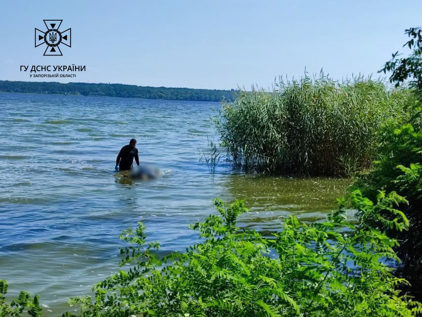 Від початку року в Києві на водоймах загинуло 13 людей