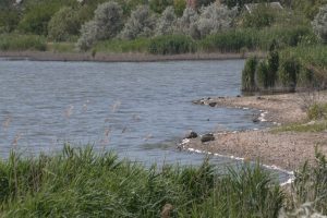 На Київщині громаді повернули ділянку на березі річки Пилявка вартістю понад 35 млн гривень